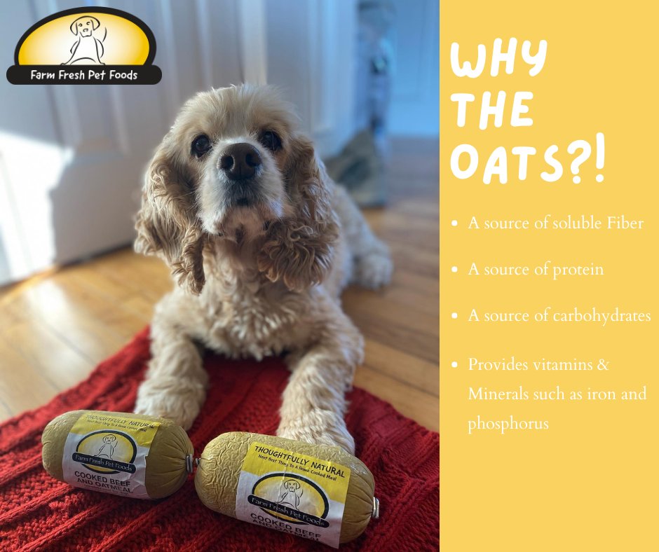 FarmFreshPet's tweet photo. WHY THE OATS?!

We have gotten this question quite a lot recently, so we wanted to let you know why the oats!

Stay tuned to our Instagram next month, where we will go more into detail about #WHYTHEOAT https://t.co/Z4yaqAFMeC
