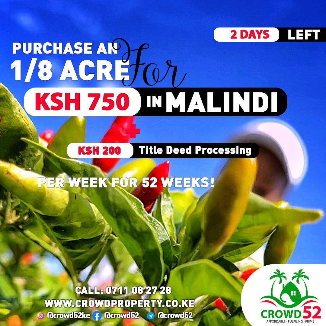 xtiandela's tweet photo. To ALL our #Crowd52KE Clients. Mpesa has delays that’s why the payments are bouncing and telling you “Insufficient Balance”. 

I know we have only a few hours left on the Wave 1 offer. Unfortunately we can’t push the offer. Kindly switch to CARD payments as we wait for the Mpesa. https://t.co/C5srFwaNW1