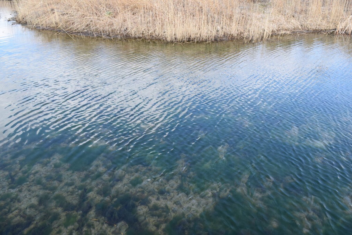 brackenmagazine's tweet photo. The selected work of Alice Becker featured in Issue VIII! "Greenlake," "Foggy Day," and "Platte River." https://t.co/wEelTHIO0U #BrackenMagazine #IssueVIII #photography #photographers https://t.co/Wv4nidRZ4R