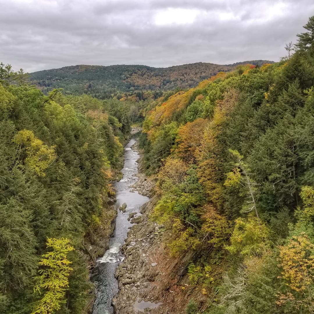 CostSaverTours's tweet photo. Beep beep! Who's that? Oh, it's us! 🚌 😍 
⠀
Check out the fall foliage our Travel Director @paml_td has been snapping on our #CSFallColors trip through New England 🍁 🍂 🇺🇸 
⠀
Check out the itinerary 👉 https://t.co/mFVxedaw7F #csmyway https://t.co/HmnPAstcV6