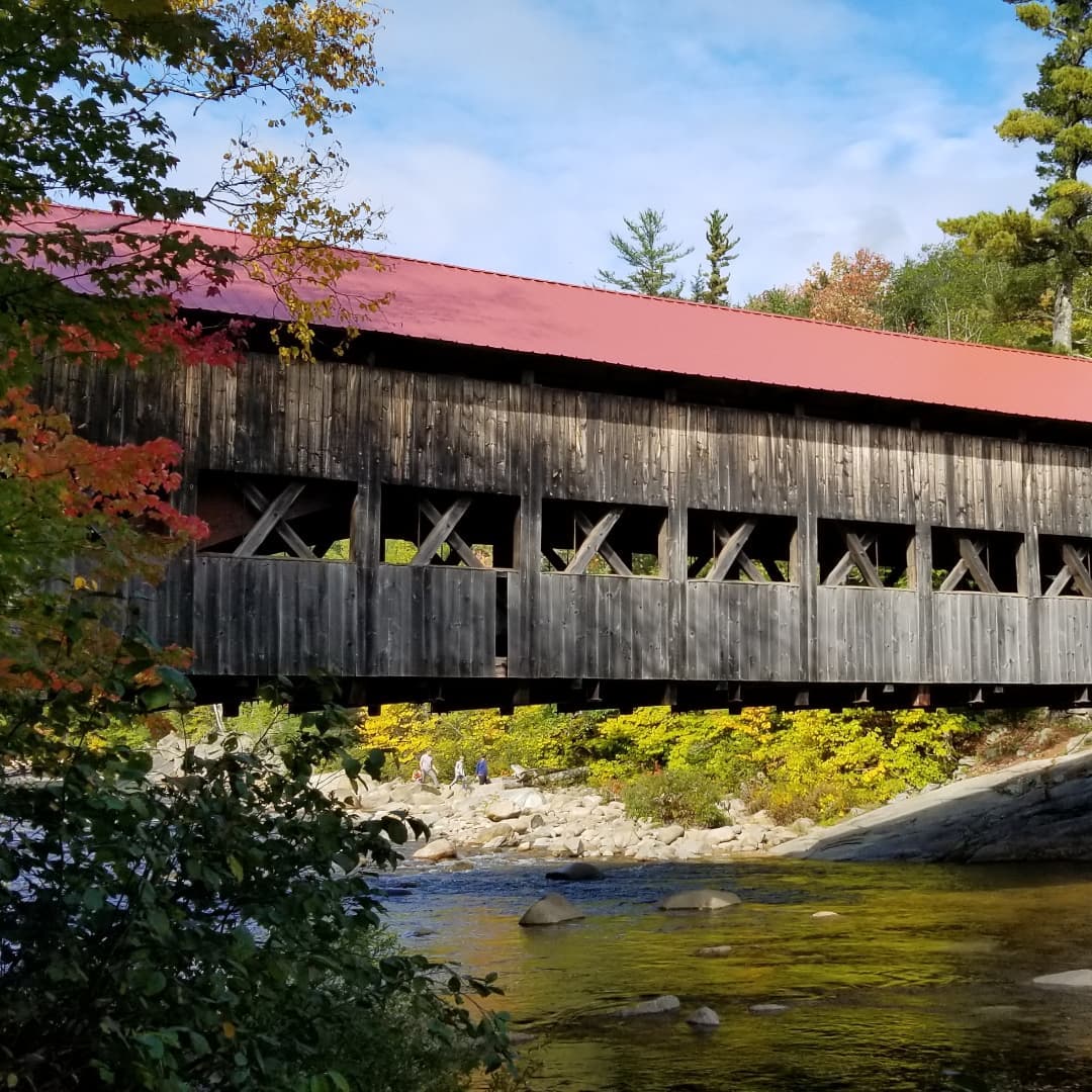CostSaverTours's tweet photo. Beep beep! Who's that? Oh, it's us! 🚌 😍 
⠀
Check out the fall foliage our Travel Director @paml_td has been snapping on our #CSFallColors trip through New England 🍁 🍂 🇺🇸 
⠀
Check out the itinerary 👉 https://t.co/mFVxedaw7F #csmyway https://t.co/HmnPAstcV6