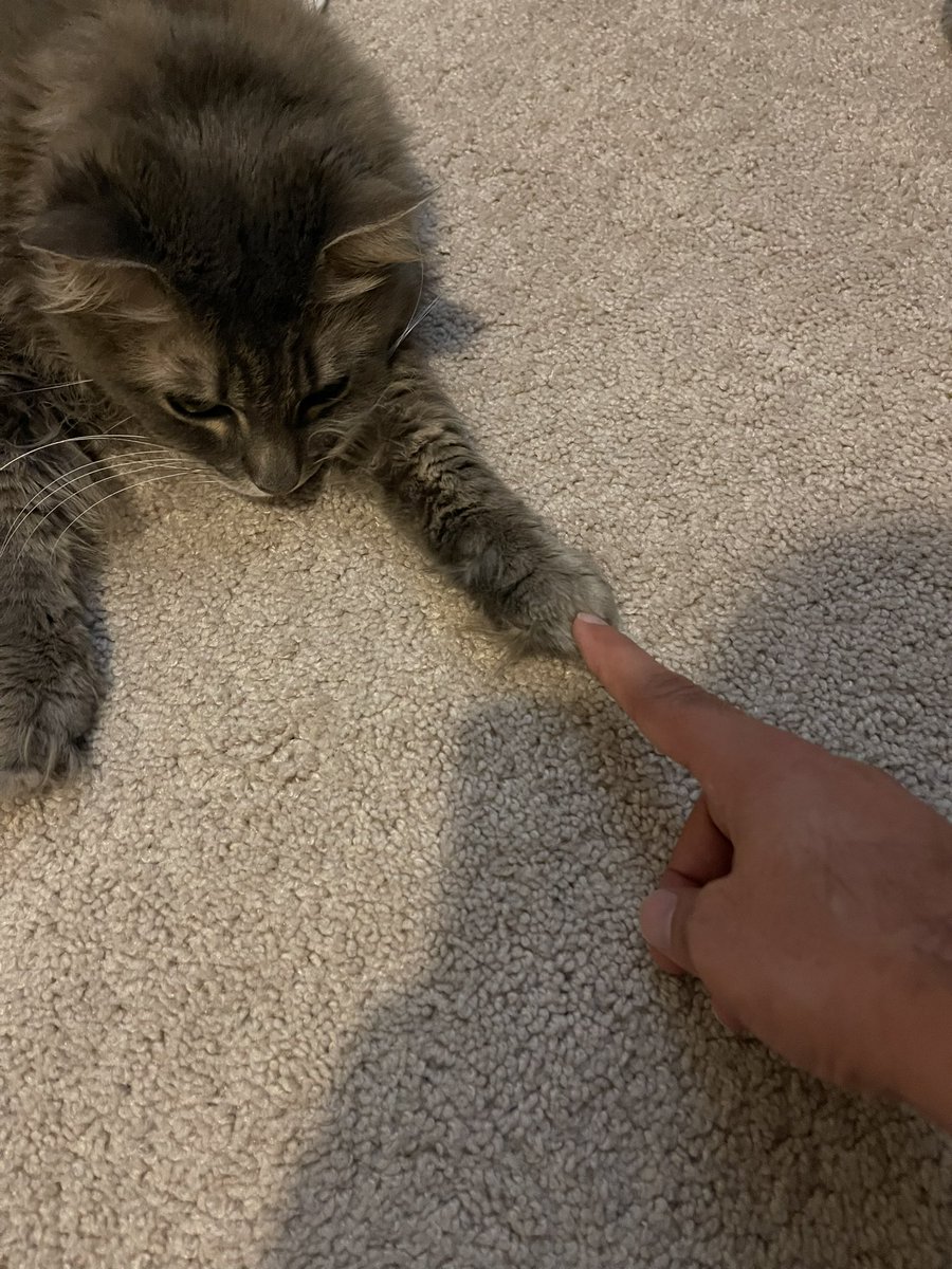 Substituted_'s tweet image. 