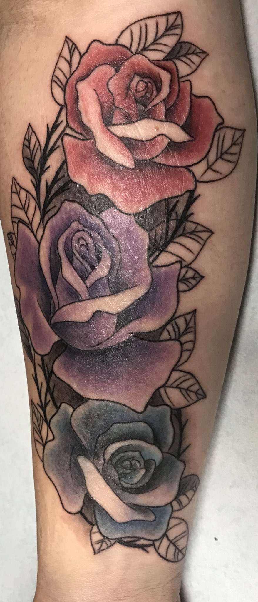 Red rose tattoo by Dani Ginzburg  Post 31252