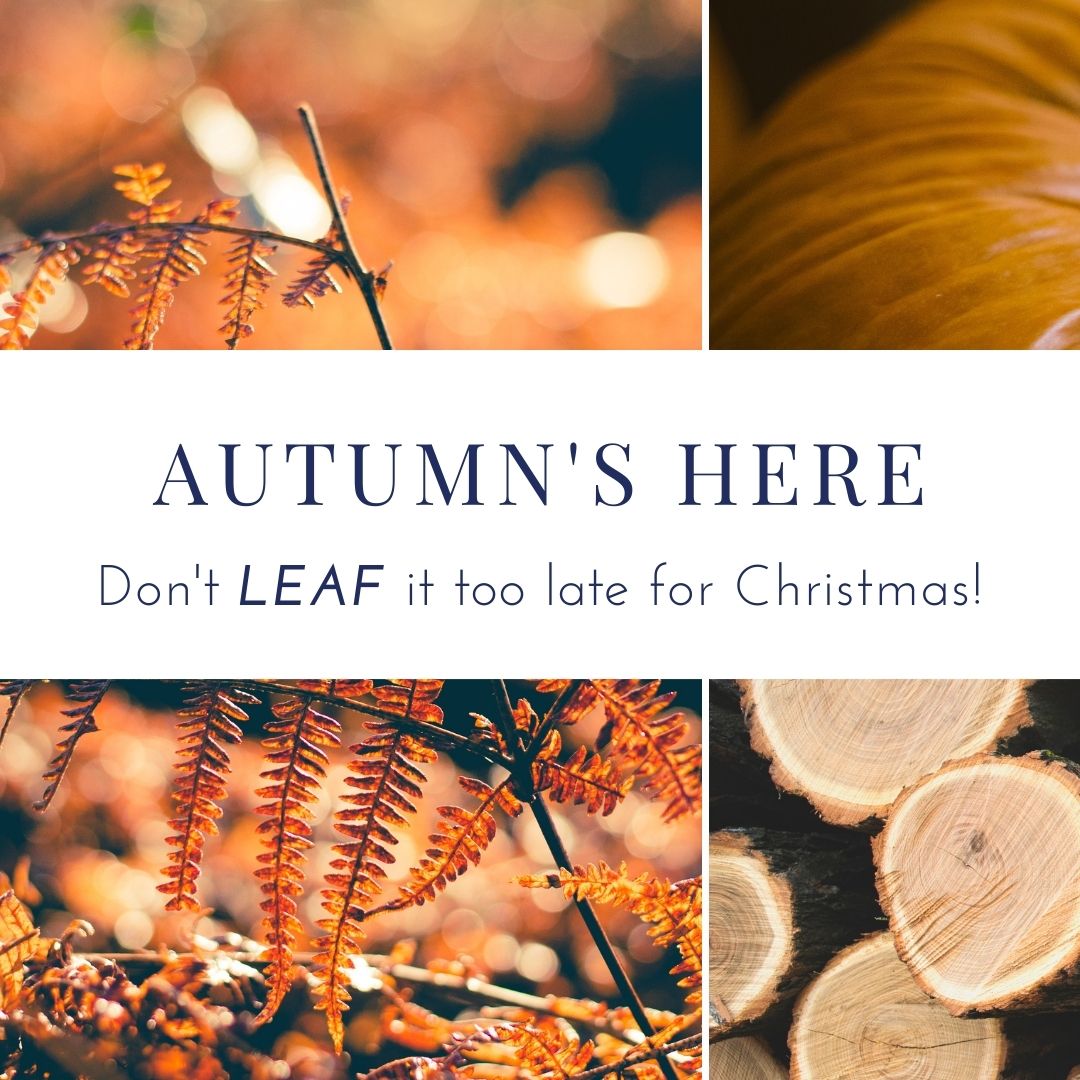 Bee an Early Bird for Christmas....Free delivery until Fri 22nd October - mailchi.mp/28525a4d387f/f…