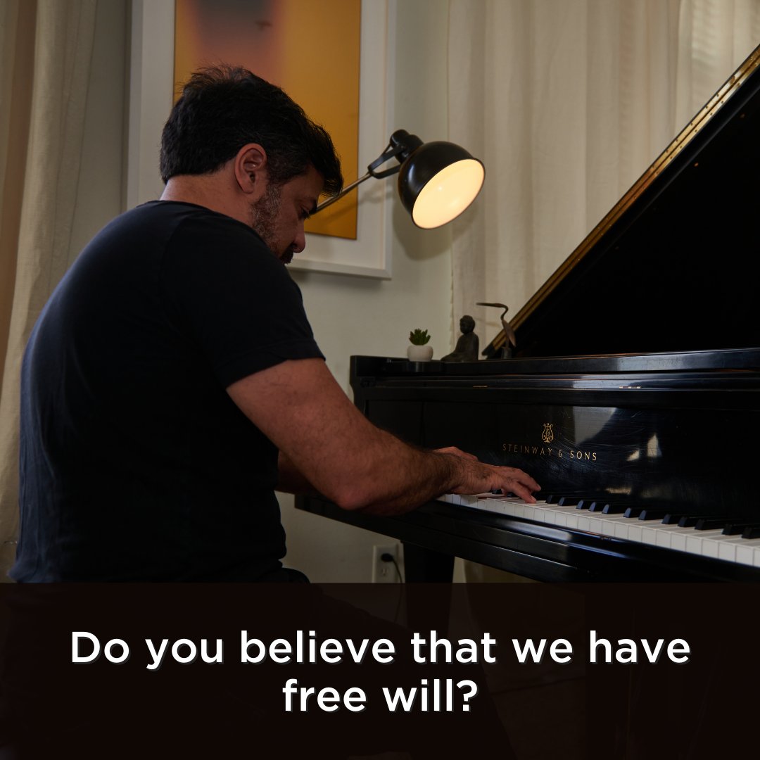 Murray Hidary tweet media