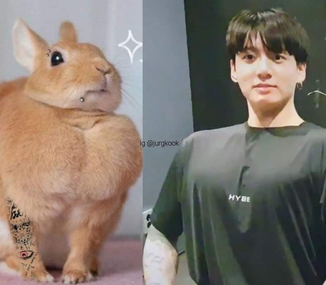 btsaresevennn's tweet photo. AYUDA JUNGKOOK CONEJITO JAJAJAJ https://t.co/QLrOeIUjh5