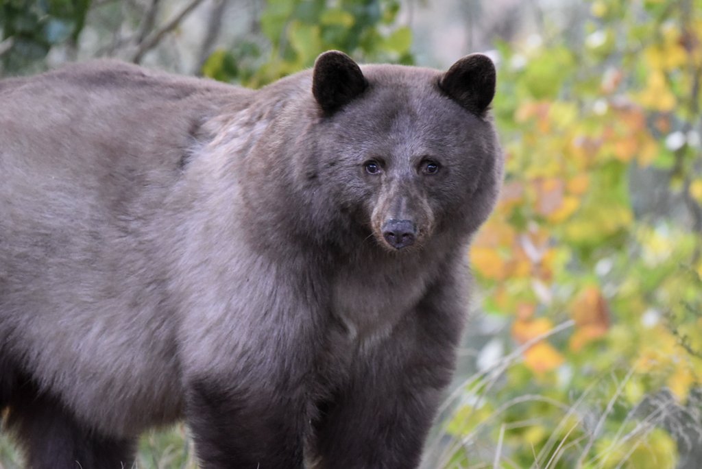 CPW NE Region tweet media