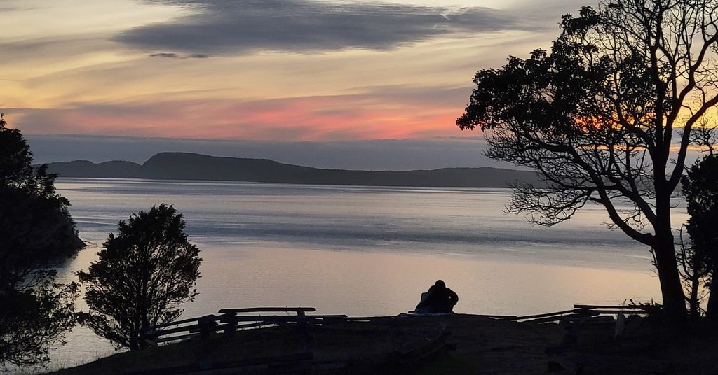 Sometimes we are but witnesses. 

#anacortes #anacorteswa #sunset #visitwashington #visitanacortes #picnic #shillouette #couplegoals #couples #sunsetvibes #washingtonstate #photosbynatacha #thisview #thisviewtho #girlwithacamera #roadtripphoto #love #tra… instagr.am/p/CU-gXeaJ5zZ/