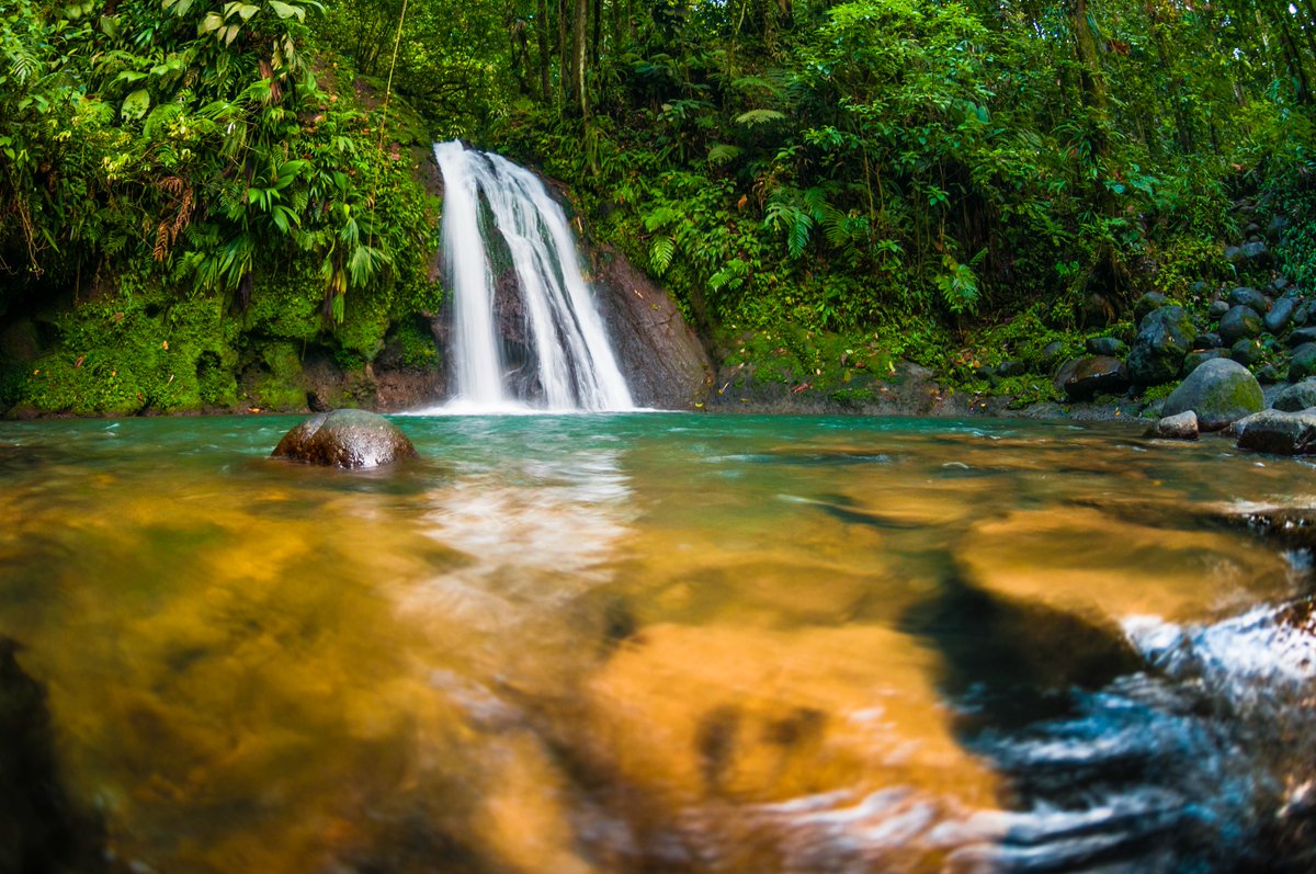 visitGuadeloupe's tweet image. Have you experienced any of our #waterfalls yet?💚 #RT if you&apos;d like to. #visitguadeloupe #ecotourism