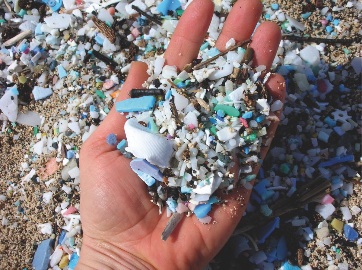GreenSpring_in's tweet photo. Diseases are caused by microplastics?

Microplastics exposure can cause toxicity through oxidative stress, inflammatory lesions &amp; increased uptake or translocation. Several studies have demonstrated the potentiality of metabolic disturbances, neurotoxicity &amp; increased cancer risk https://t.co/VJTPndbtpw