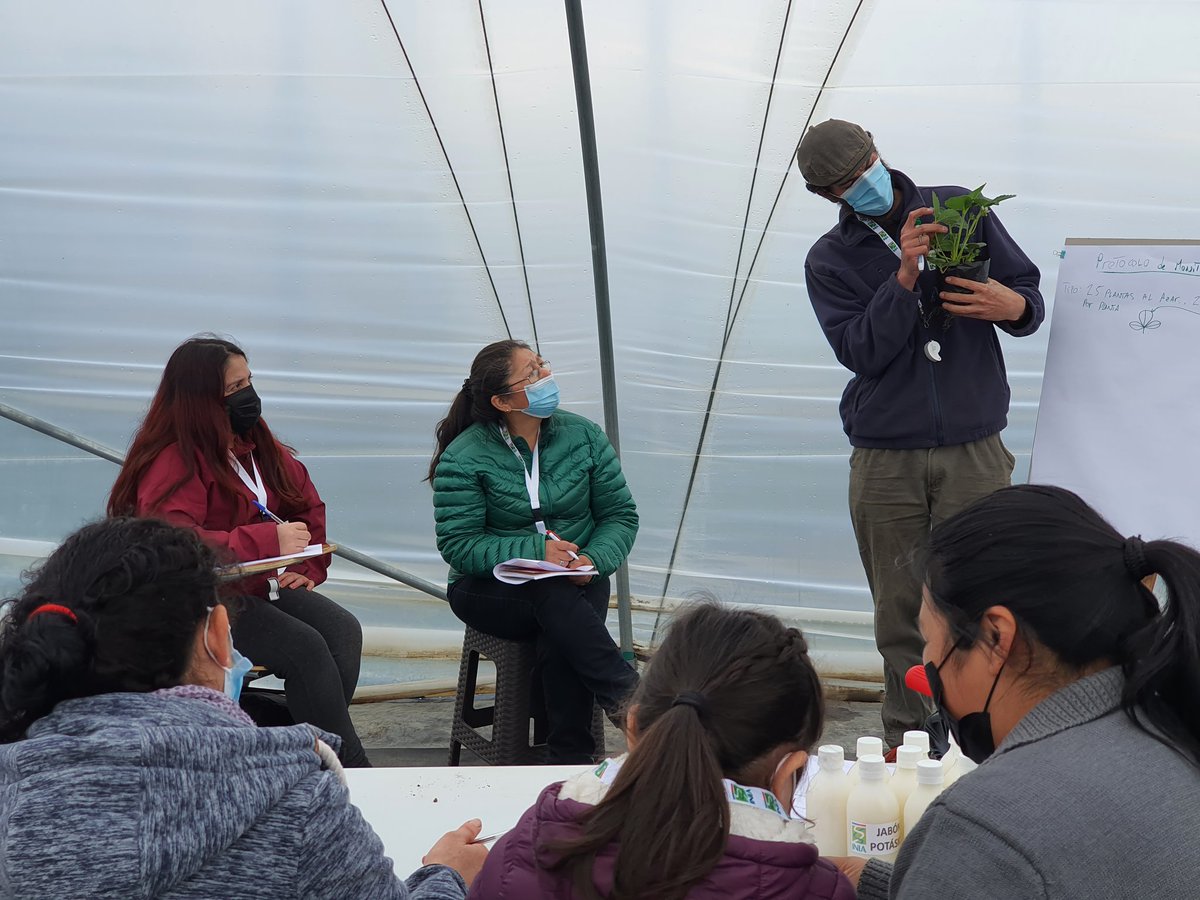 Clau_mcleod's tweet photo. @Inia_Kampenaike junto a  agricultores de Puerto Natales, aprendiendo sobre monitoreo de plagas en frutilla #agriculturasustentable @MinagriMagallan @goremagallanes1 @FranciscoSalesZ @iniachile https://t.co/zEPCMHZtta