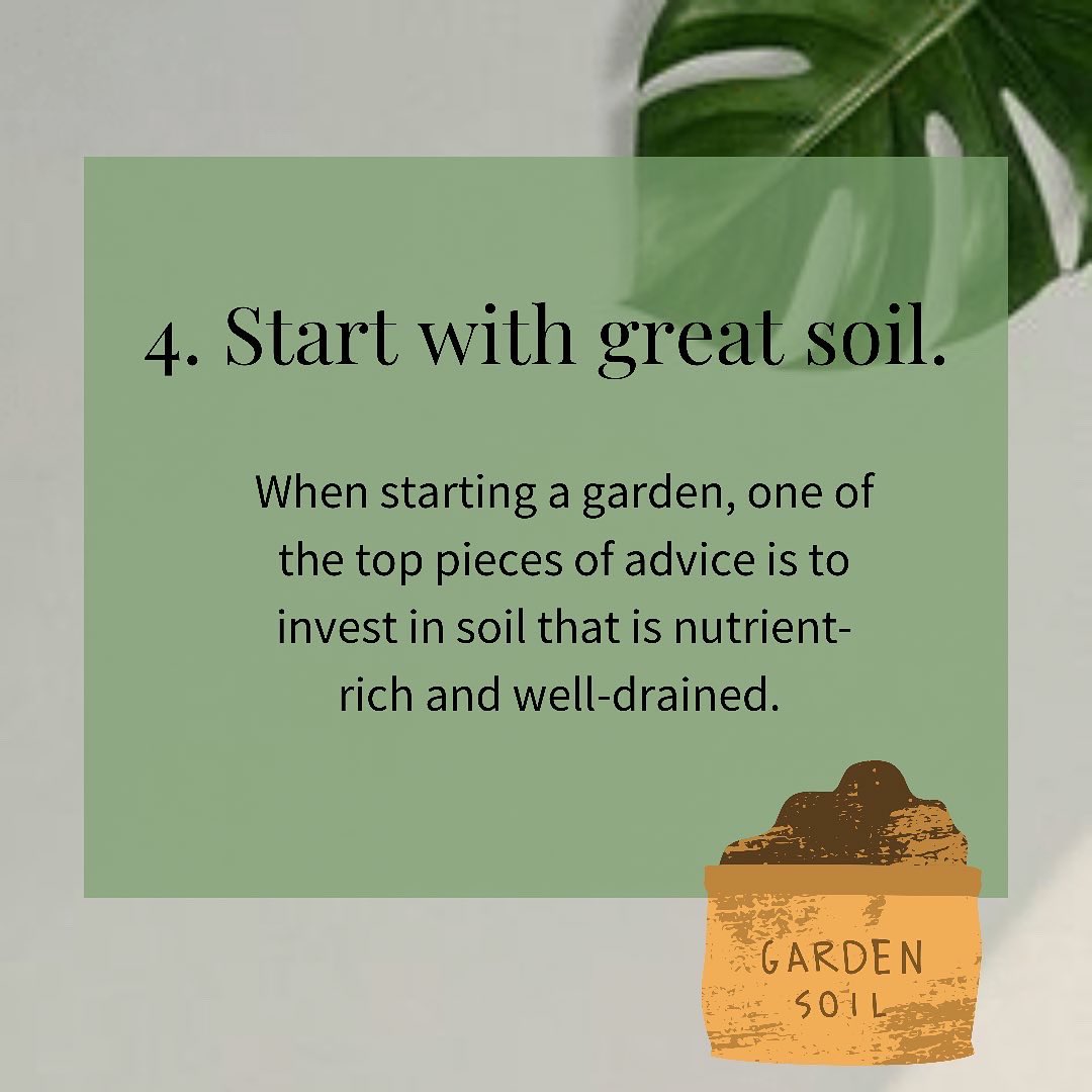 Wondering how to start a garden? 🪴 Find your confidence with these gardening tips. Visit the link in our bio to learn more about our mission! 🌱