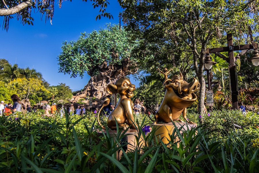DisneyParks's tweet photo. The celebration of the 50th anniversary of @WaltDisneyWorld Resort is in full swing at Disney’s Animal Kingdom! Look out for new experiences, celebratory anniversary sips and bites, must-have merchandise, dazzling park decorations and more: https://t.co/LWGo565b35 #DisneyWorld50 https://t.co/ZjFrE7Iqxf