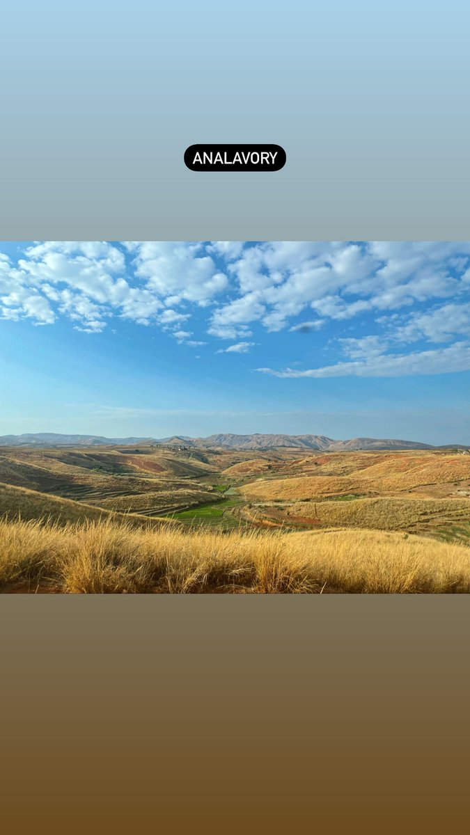 Fireflies_mg's tweet image. On rec #fireflies 
#bmpc #6kpro