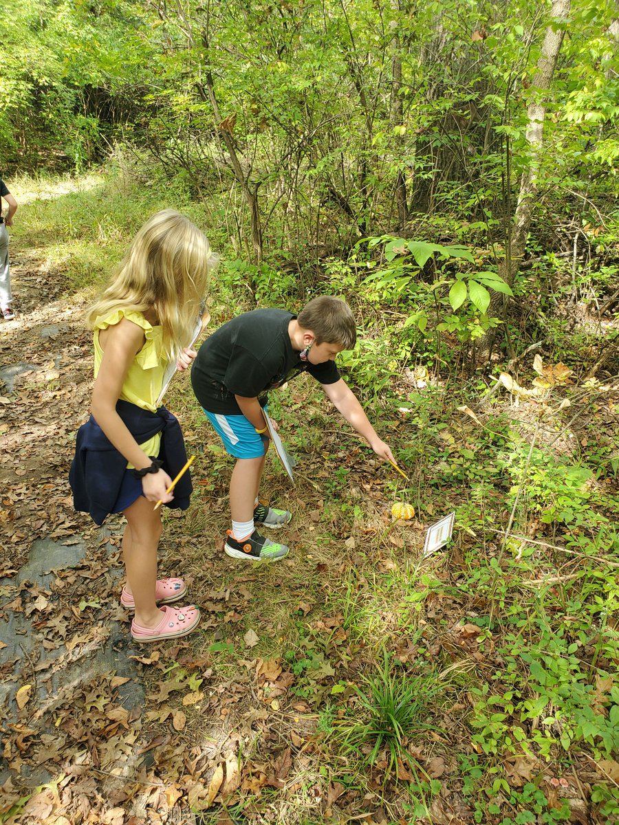 Mrs. Zeek tweet media