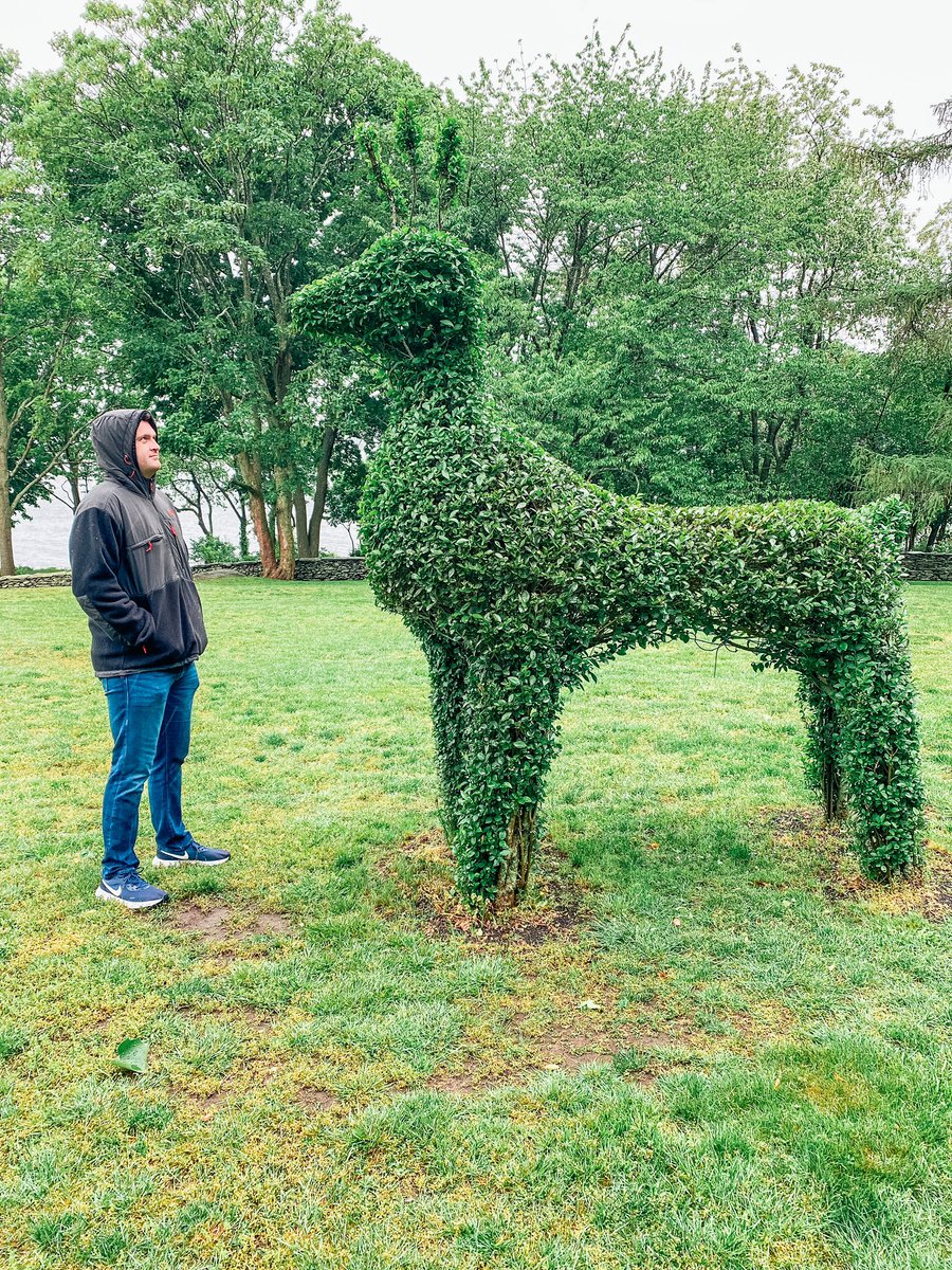 JourneyWJBlog's tweet image. [GREEN ANIMALS TOPIARY GARDEN // PORTSMOUTH, RI] Perspective. Can you guess how tall Chris is? bit.ly/greenanimals

#reindeer #animals #greenanimals #greenanimalstopiary #greenanimalstopiarygarden #topiary #garden #newportmansions #portsmouth #newport #rhodeisland