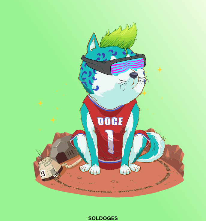 SolDOGES tweet media