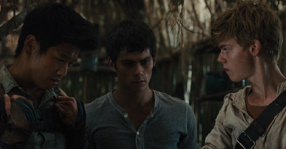 allmazerunner's tweet photo. from beginning to end https://t.co/9mFCXllDwv