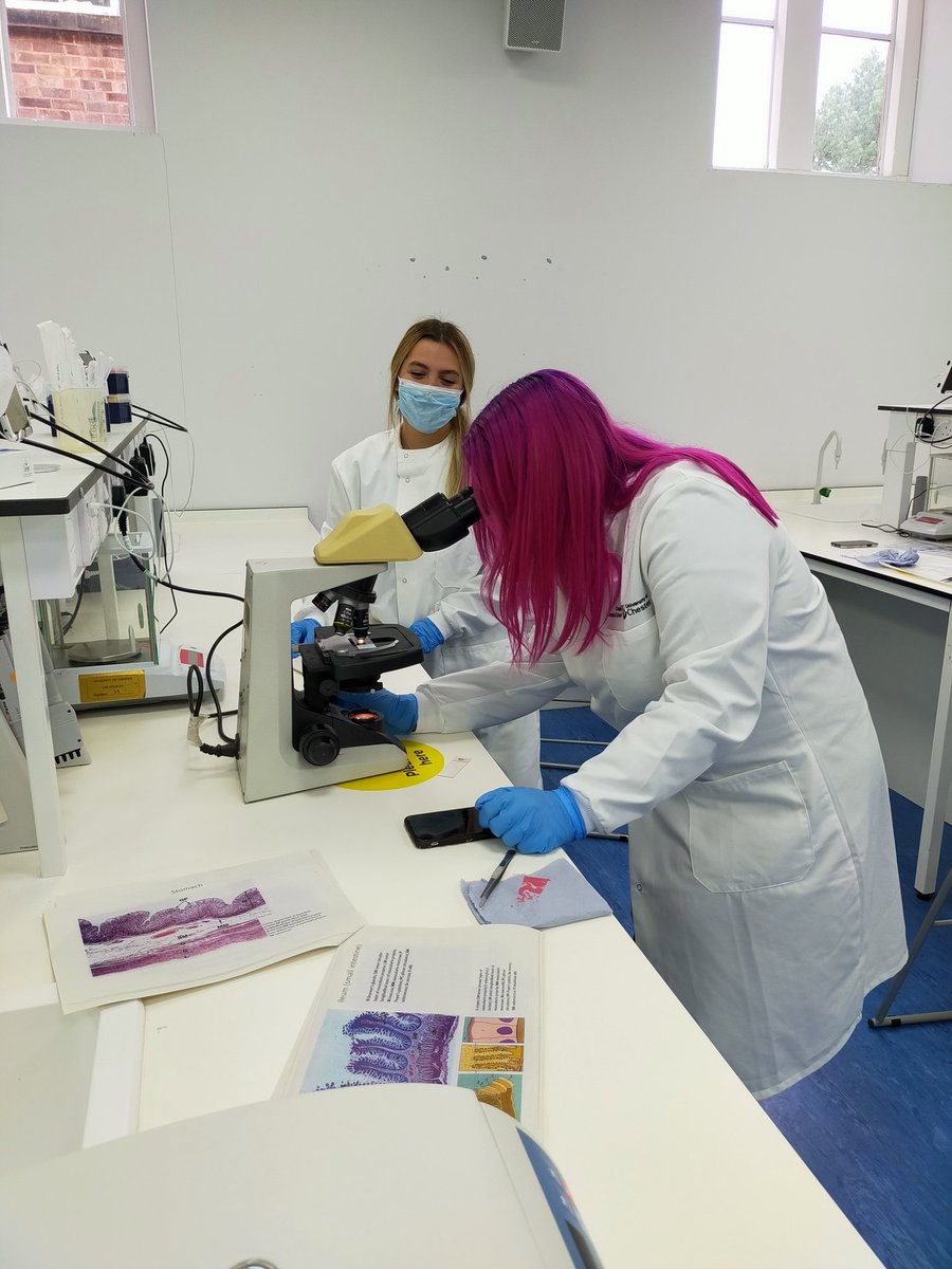 UoCMedSci's tweet photo. Dr Jon Power and our #MD5018 students had a great histology lab session this week. 

Do you have any photos to share with us? Leave them in the replies. 

@uochester @UoCMedSchool #CMSTechTeam #labskills #Histology https://t.co/gLdKXEeXah