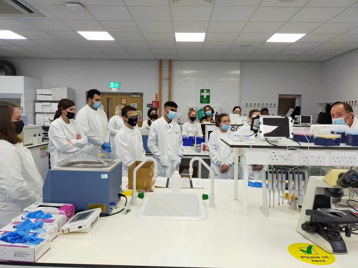 UoCMedSci's tweet photo. Dr Jon Power and our #MD5018 students had a great histology lab session this week. 

Do you have any photos to share with us? Leave them in the replies. 

@uochester @UoCMedSchool #CMSTechTeam #labskills #Histology https://t.co/gLdKXEeXah