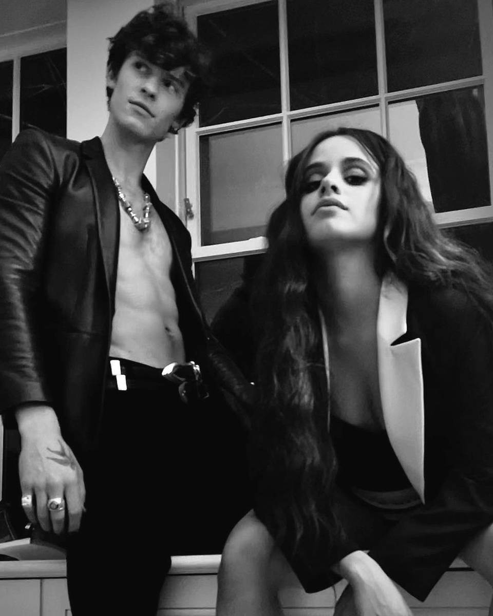 best shawmila pics tweet media