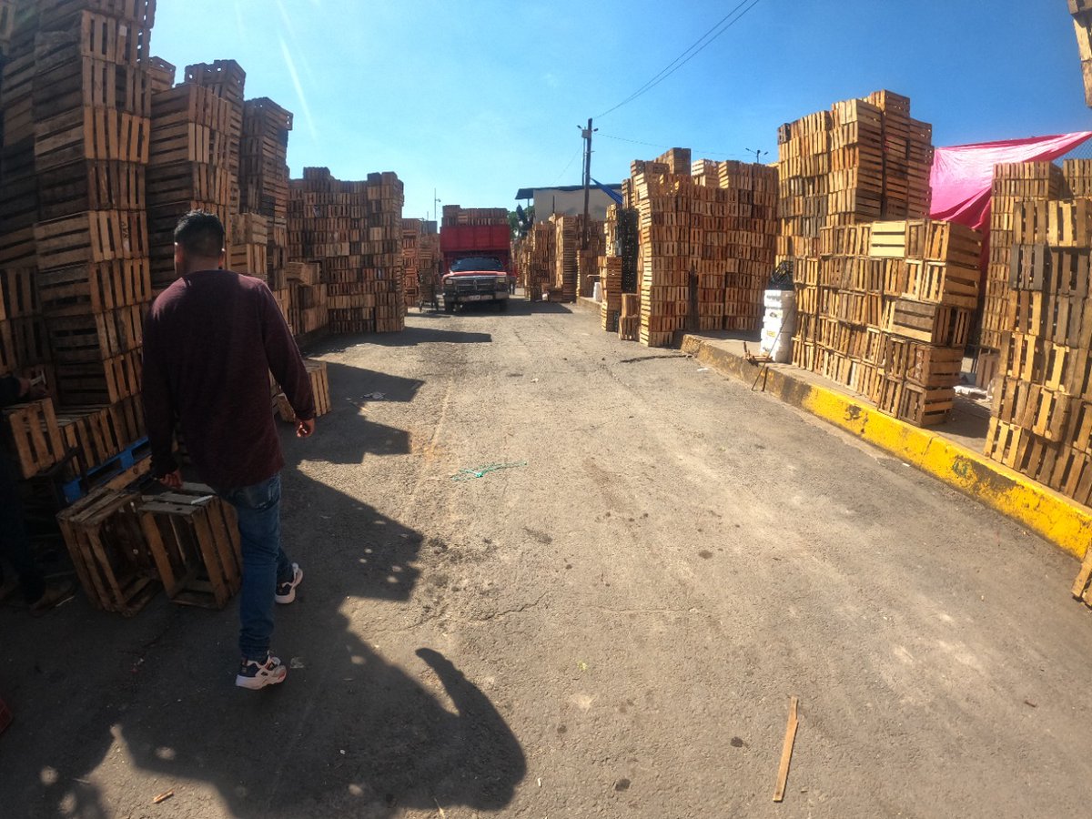 CdeAbastoCDMX's tweet photo. 📌 Recuperamos espacios en las áreas comunes del mercado de envases vacíos, retirando desechos que impedían la movilidad segura. 👇 https://t.co/tkyXmTbywA