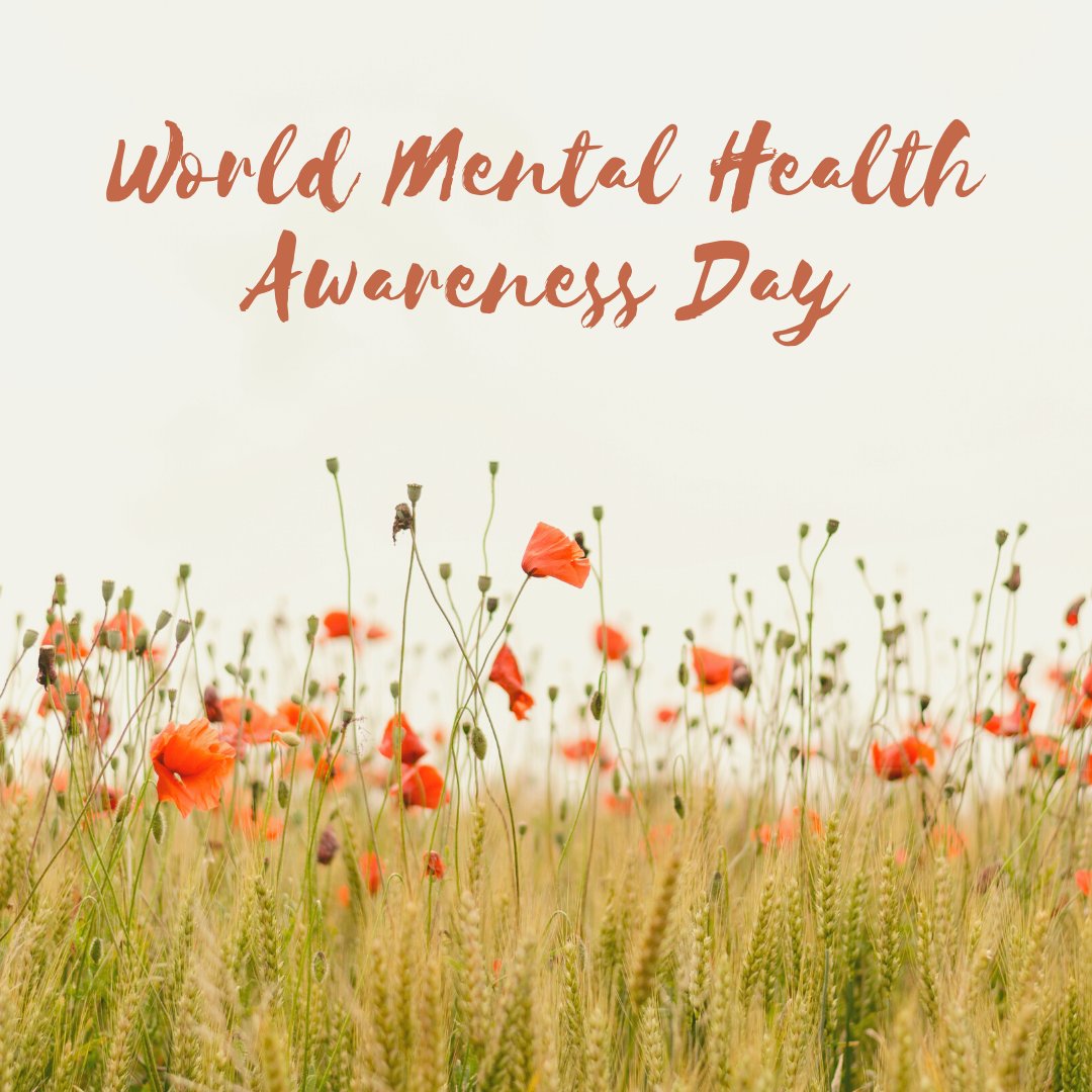 Blackstone LaunchPad tweet media