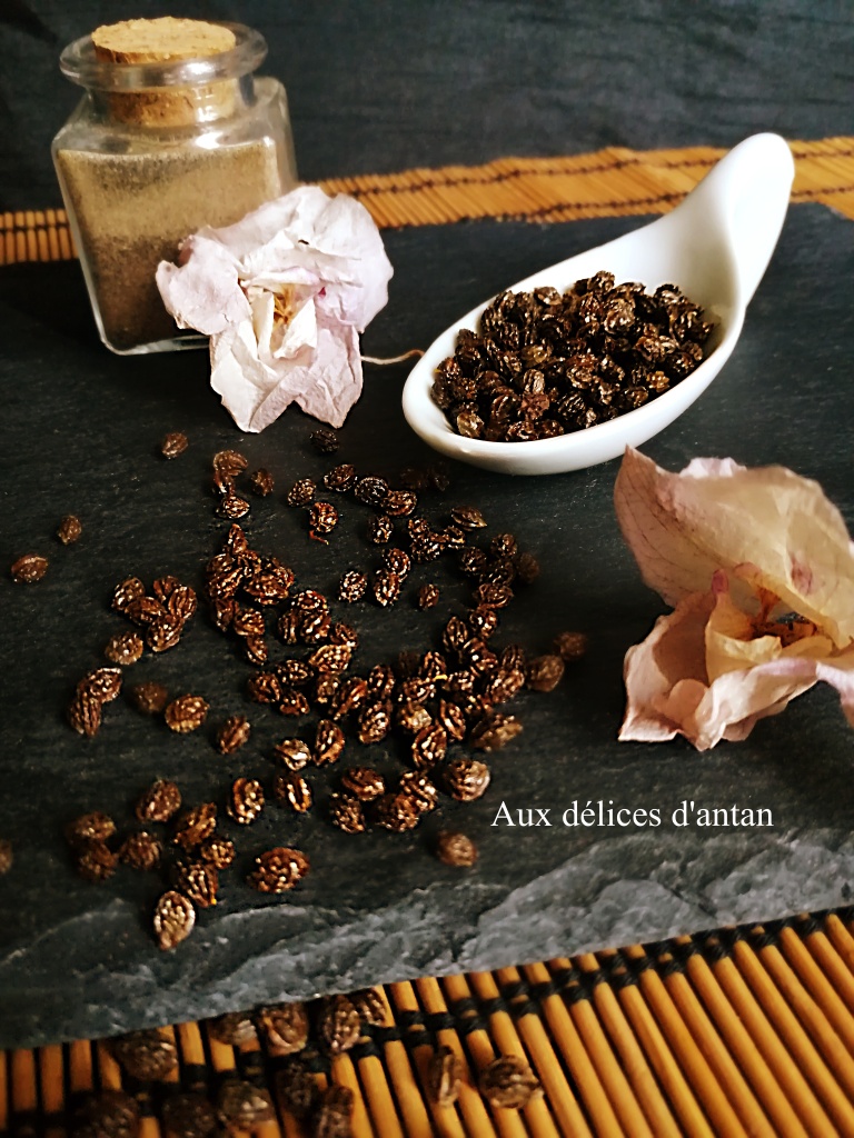 cofooders's tweet photo. #Recette via @DelicesAntan Graines de papaye séchées 👉https://t.co/dGoVKTjTT6 #graine #papaye #sechee #cuisine #food #bon https://t.co/6zAXPMxi7C