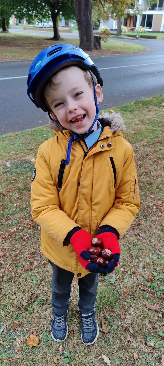 michaelryanIRL's tweet photo. Cycling to school means you can detour to collect conkers on your way home 🍁🚴😍
#schoolcycle #autumn #conkers #CyclingForAll https://t.co/L1q4Qf9Kn9