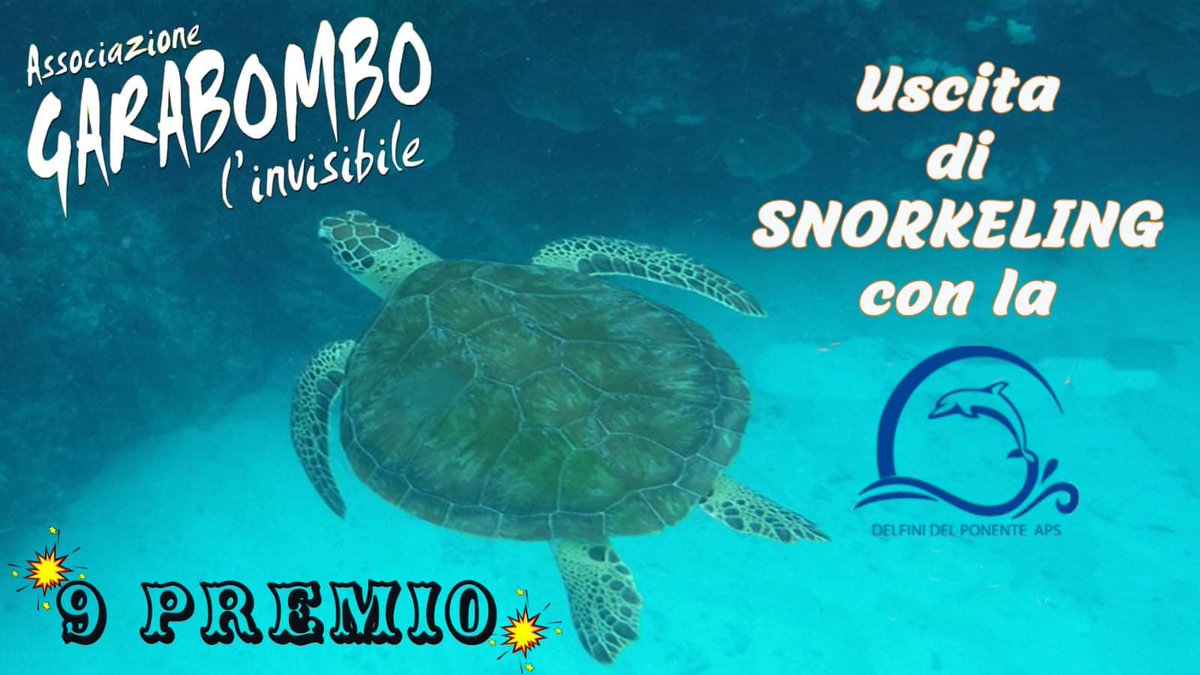 Questo è il più apprezzato dai bambini 😎
Per il nono premio si torna in mare con l'associazione Delfini Del Ponente APS a fare un po di #snorkeling 😮
#turismoresponsabile #9premio #comercioequoesolidale #solidarietà #unaltromondoèpossibile  #liguria #mare #santuariopelagos