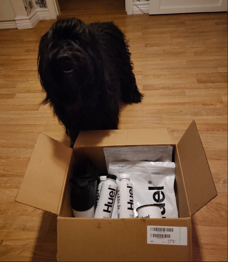 Philwestside's tweet photo. Look what we found on the stairs! Thank you @huel for another package, the vanilla flavour is my favourite so far.  Use https://t.co/DHrQJMYazf to get your own! #teamecho #hueligans https://t.co/Efs6JpzCx1