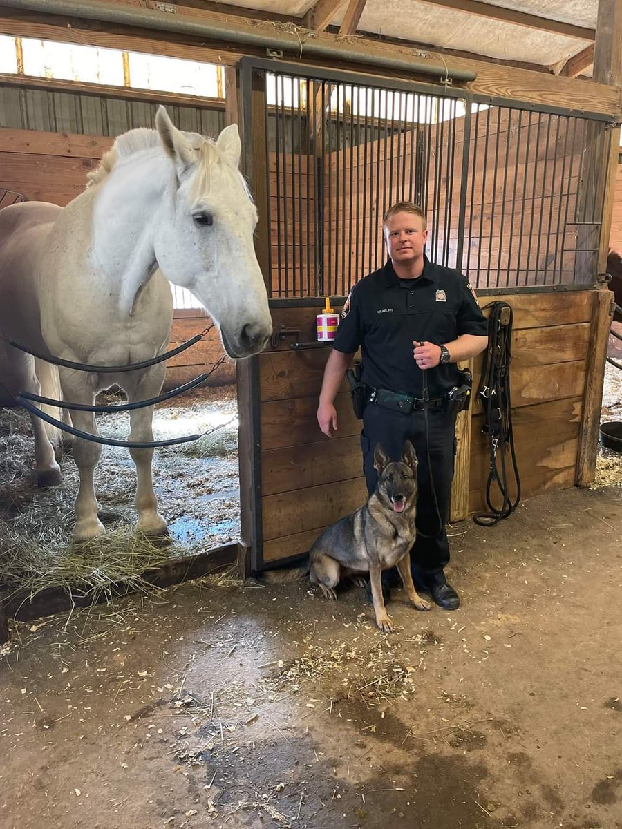 ga_dps's tweet photo. Thank you to @Atlanta_Police for allowing us to have K-9 training at their Mounted Patrol facility today. Pictured is TFC Kraeling and K-9 Nina with Hercules. #gsp #gatrooper #GSPK9 https://t.co/ZJOVlalNge