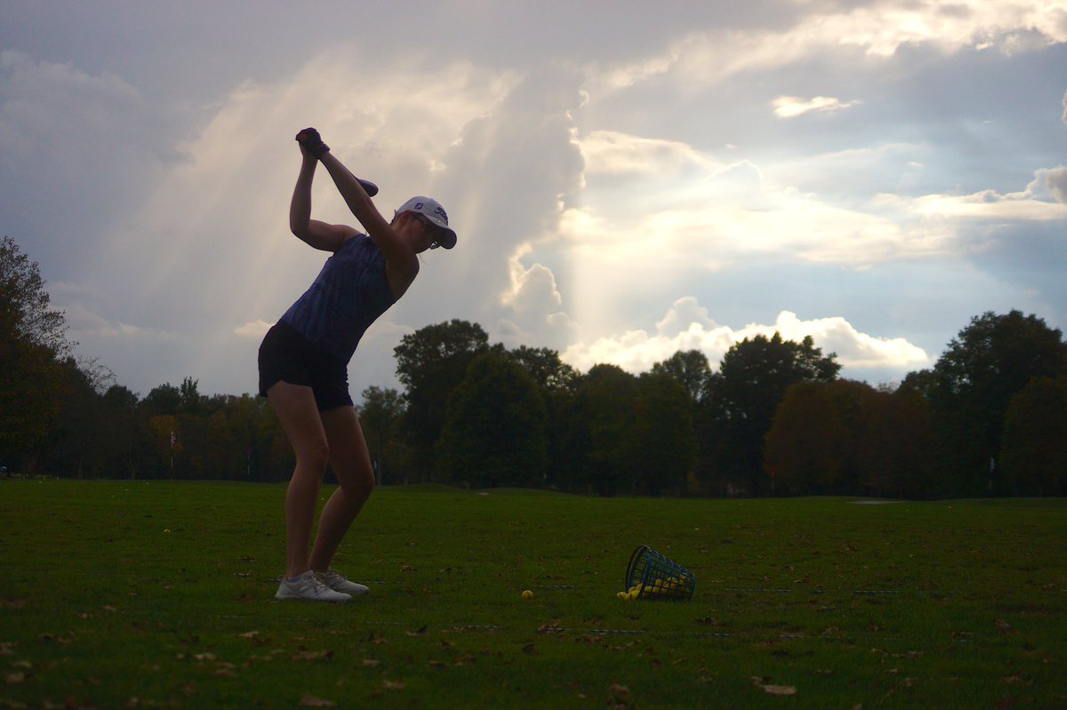 MWG Updates tweet media