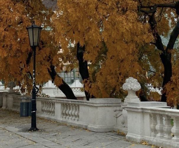 MAISONSTLAURENT's tweet photo. cozy october days https://t.co/AEBnWhckBt
