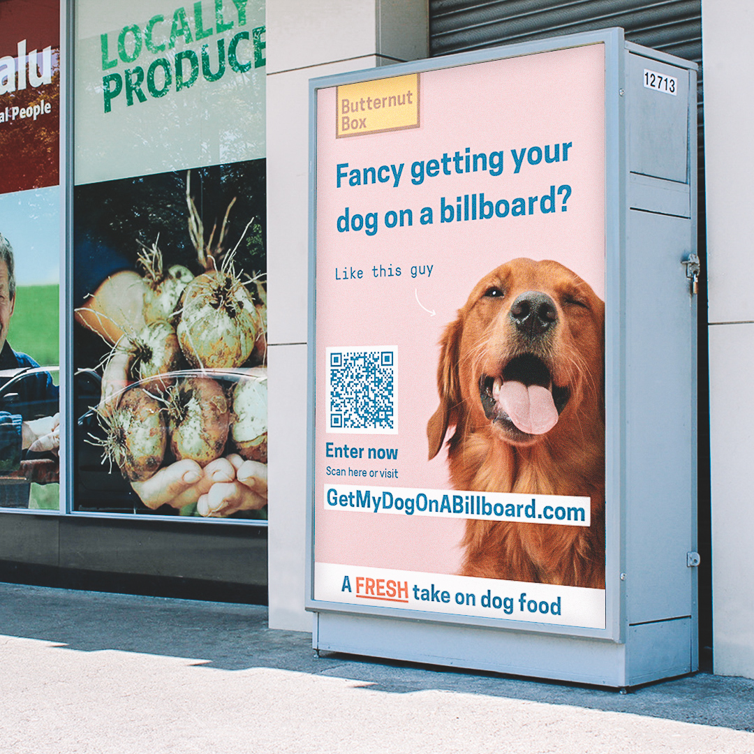 butternut box offers