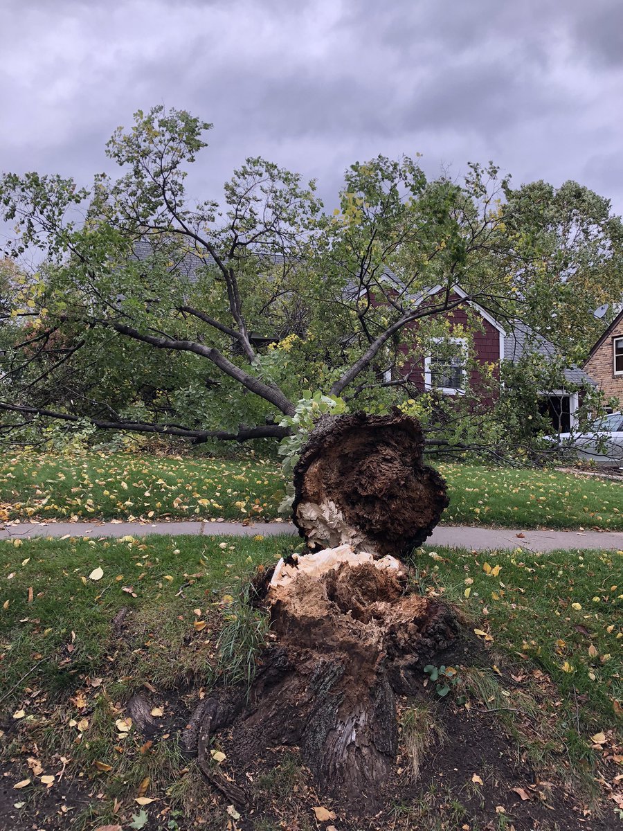 Mike Logan tweet media