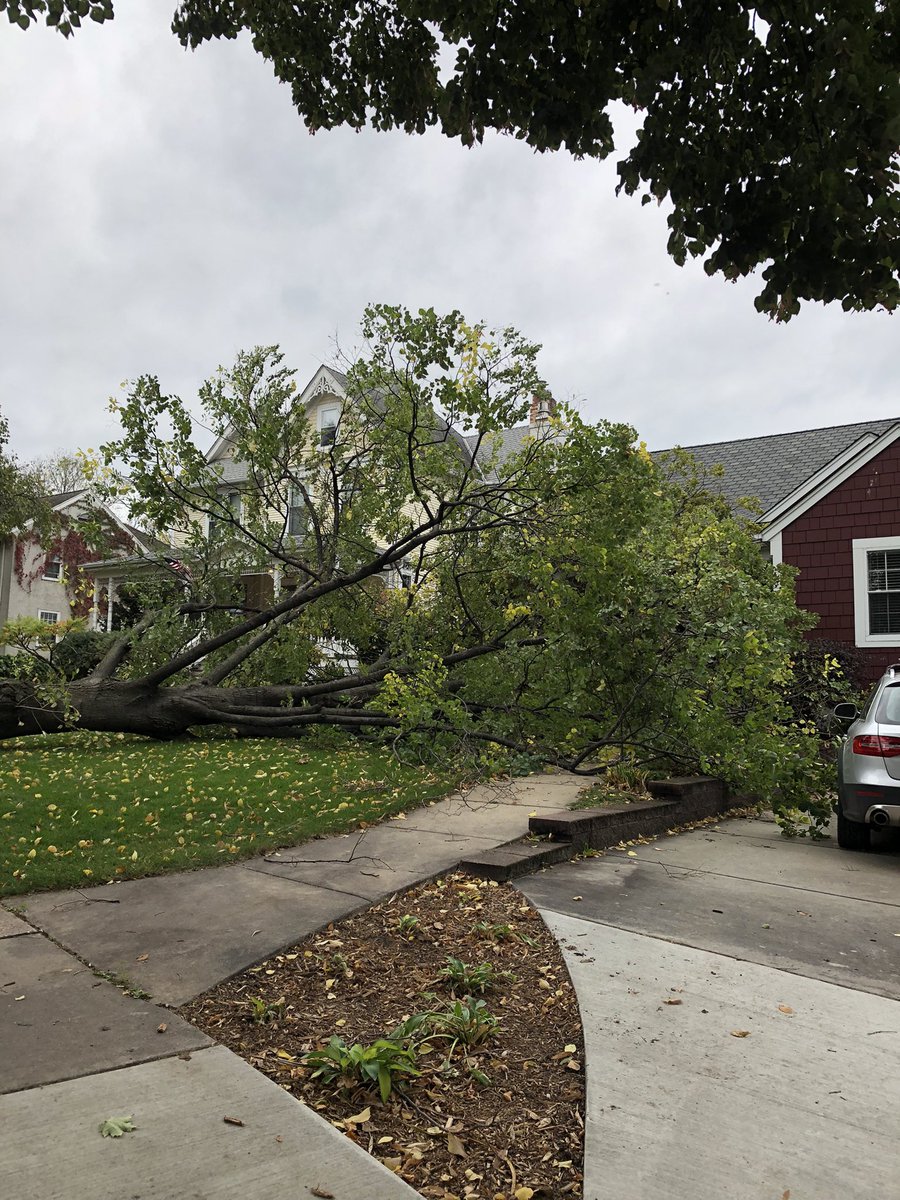 Mike Logan tweet media