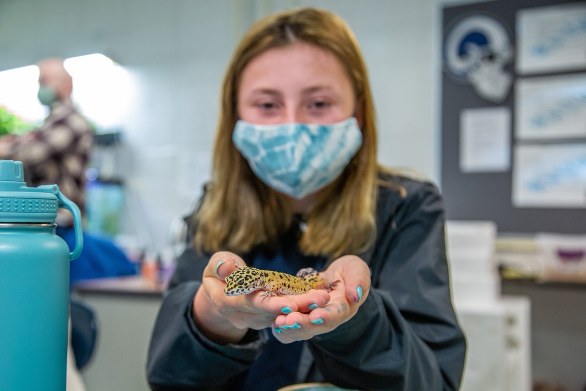 IowaSTEM's tweet image. Though we often talk about #STEM as a group of individual subjects (science, technology, engineering and math), nothing exists in isolation. There are endless connections between STEM and the way we live and learn every day. 

Where do you see this connection in your life?