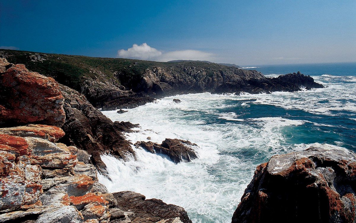 Xunta's tweet image. 🏖 O programa #ElixeGalicia recibe o recoñecemento nacional como mellor produto de turismo activo de 2021

🔹 A directora de @Turgalicia, @castro_domingue, recolleu hoxe en Madrid o premio outorgado por @fitur_madrid e a revista @airelibrerevis1

ℹ️ xunta.gal/notas-de-prens…