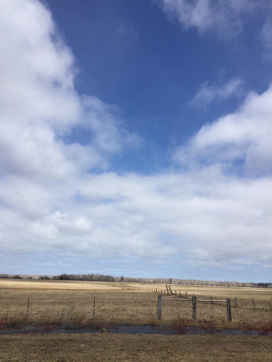 AfterLetters's tweet image. 