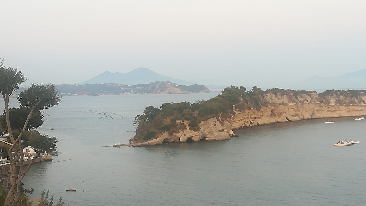 STUDIO TRIBUTARIO CERBONE (@avellinoint) on Twitter photo 