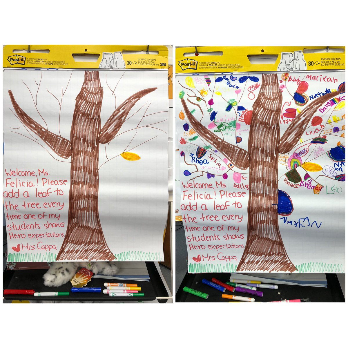 Jacqui Coppa tweet media