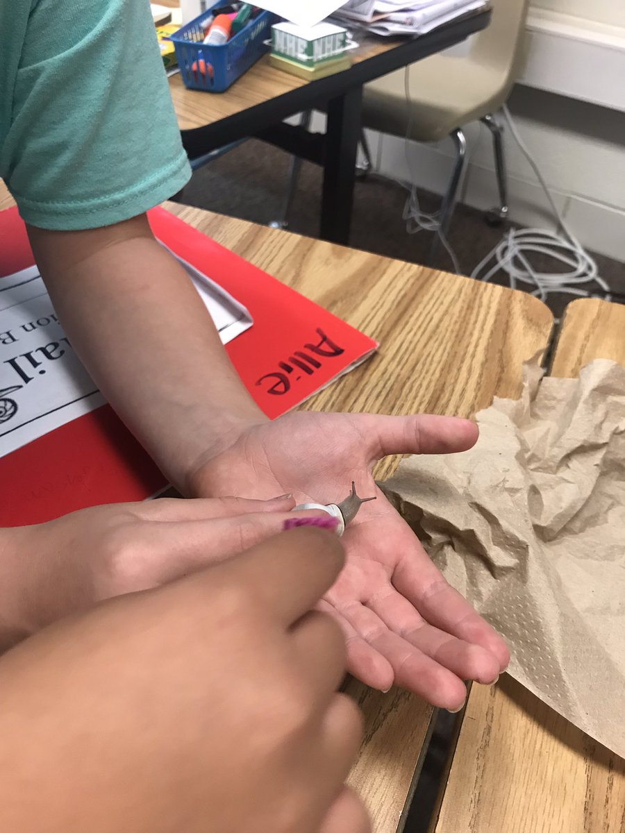 MATHers of the Universe (@stacie_lilly) on Twitter photo Snailed it! Ms. Ugalde’s class worked with their snails today. Students made predictions about whether or not their snails could pull more than their own weight. <a href="/nherisd/">Northwood Hills Elementary</a> #risdpoweroflove Snailed it! Ms. Ugalde’s class worked with their snails today. Students made predictions about whether or not their snails could pull more than their own weight. <a href="/nherisd/">Northwood Hills Elementary</a> #risdpoweroflove