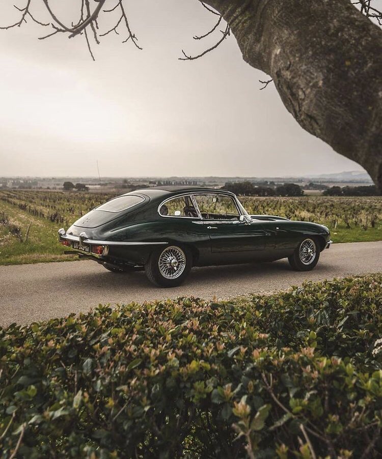 SomeMoreCarz's tweet photo. Jaguar Type E https://t.co/ocagLR69Hz