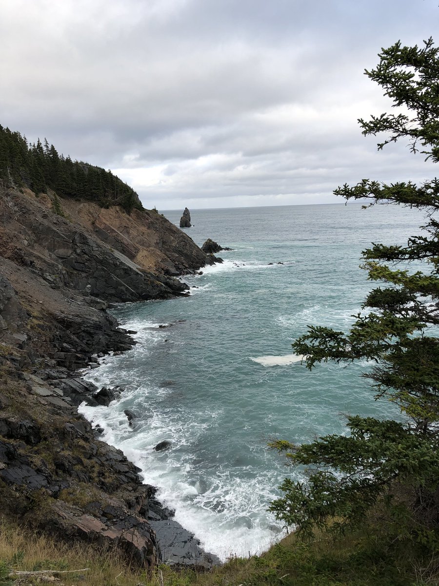 dawn_kimmy_nl's tweet photo. Having a great hike in Harbour Grace this afternoon! I got lost for a bit because I took a quad trail but I found my way so all is going good! 🤦🏻♀️🥾🥾
#vacationdays #explorenl #ShareYourWeather #nlwx #atlanticcanada #eastcoast #piratespath https://t.co/N7mWLvPgpZ