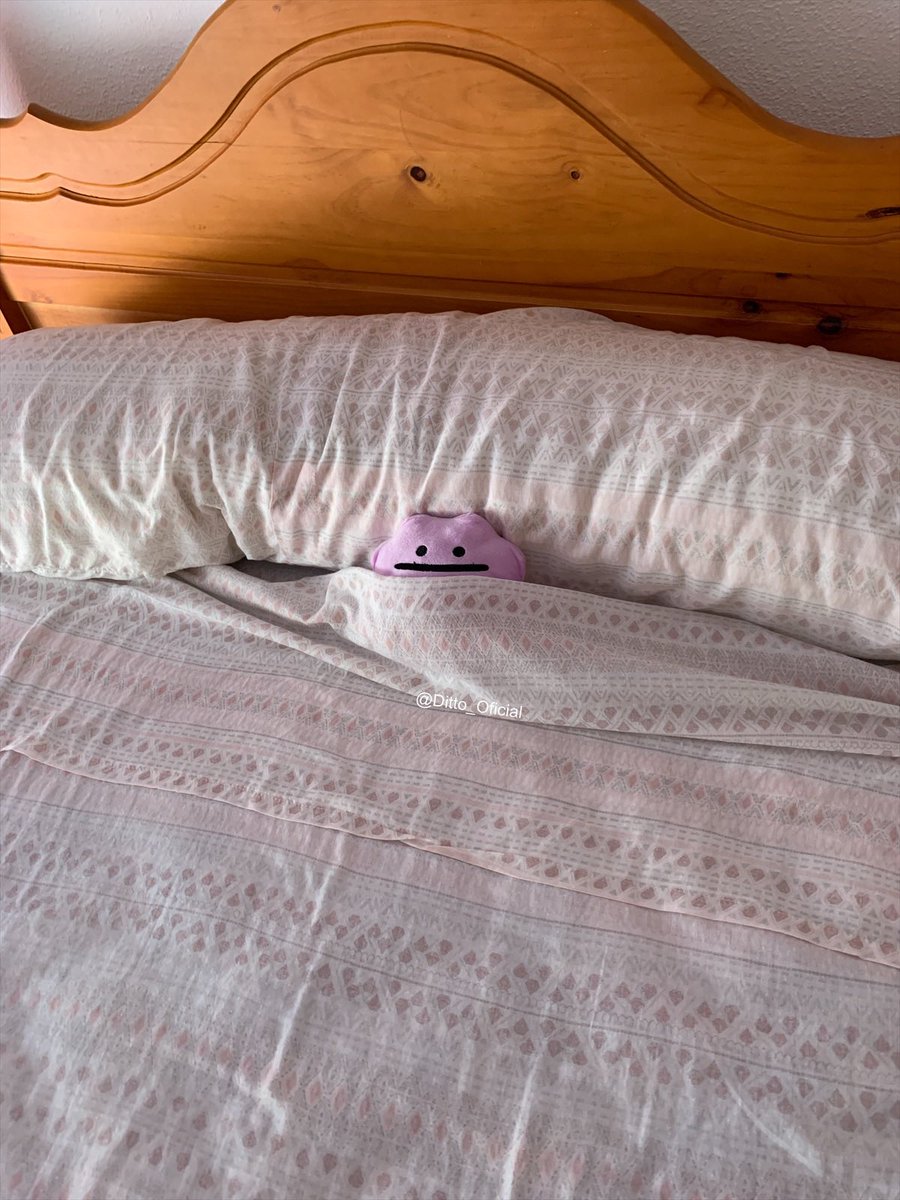 Ditto_Oficial's tweet image. Acostaditto