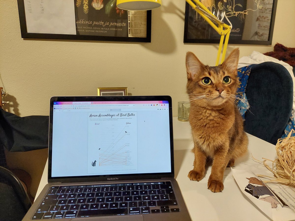 Hermione the cat and I collaborated on the week 36 #TidyTuesday bird bath data! We are both pretty happy with the final result. Now we are very much looking forward to this week's data set, Hermione is quite a fish expert as well.
Code: github.com/emmaSkarstein/…