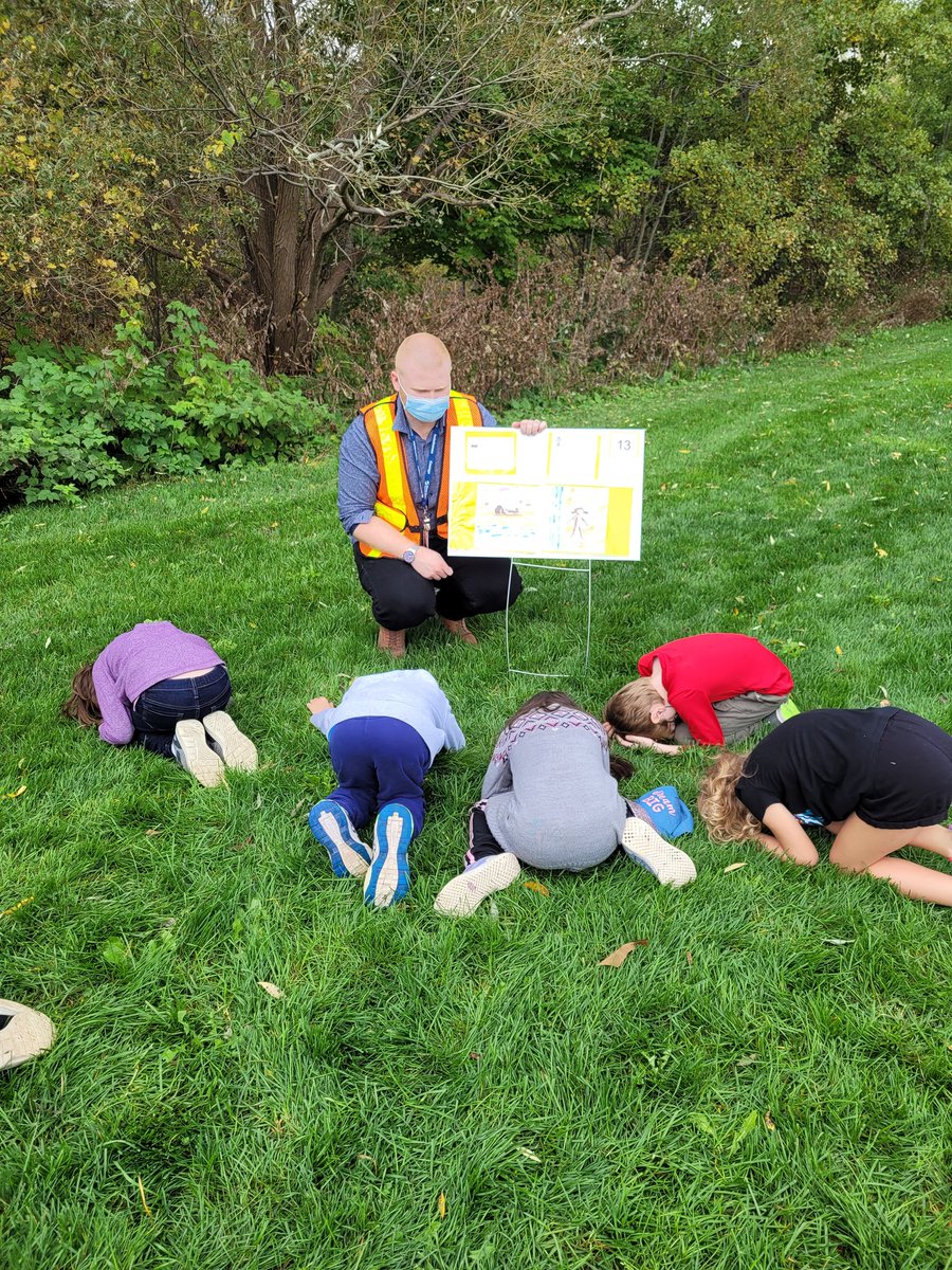 Willow Library tweet media