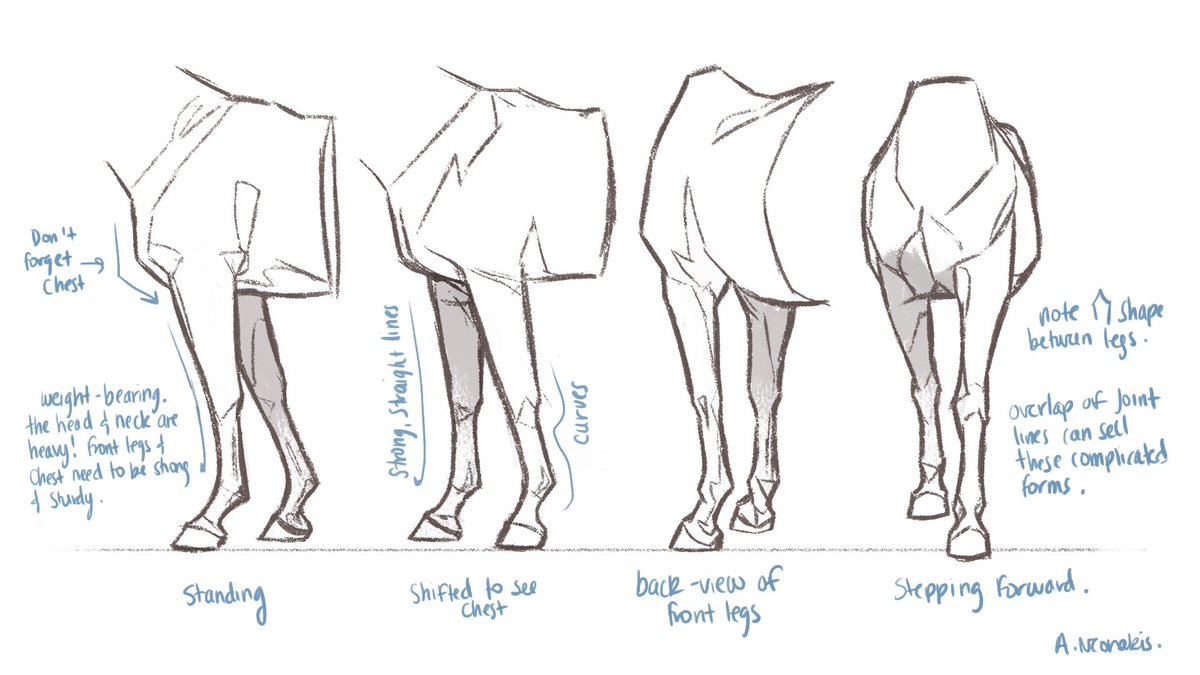 I've decided to get back to blogging to have a space that I can keep sketches, wips, and the tutorials and notes I've done on here over the years. my most recent was a redo of an older post on understanding color in digital tools. Horse ones are there too. Link in the comment 