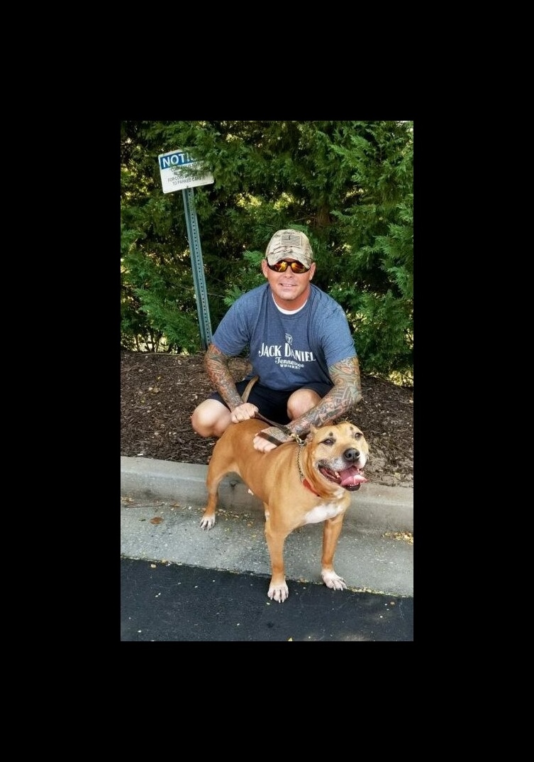 veterandogs's tweet photo. Operation Bandit – An Abandoned Service Dog Comes Home https://t.co/SIBrWyMsWC https://t.co/fCqBMPDkH8